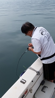 20150711_105209.jpg